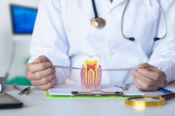 Best Emergency Tooth Extraction in Lowell, AR